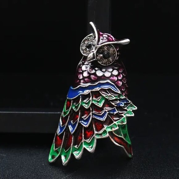 Owl Brooch Enamel Rhinestone Pin SIlver Bird Gems Sassy Trendy Stylish Glam Fun - Picture 2 of 4